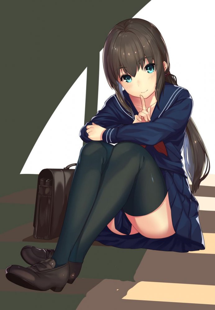 【二次】ニーソ【画像】